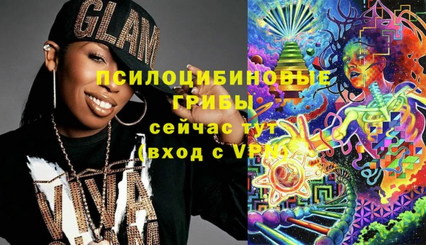 ГАЛЛЮЦИНОГЕННЫЕ ГРИБЫ Беломорск