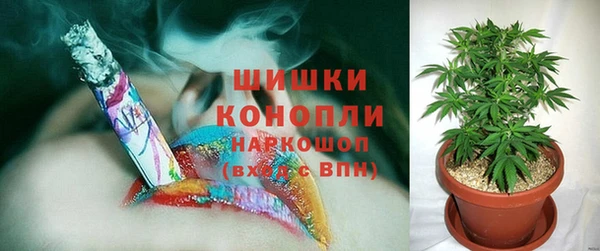 ГАЛЛЮЦИНОГЕННЫЕ ГРИБЫ Беломорск
