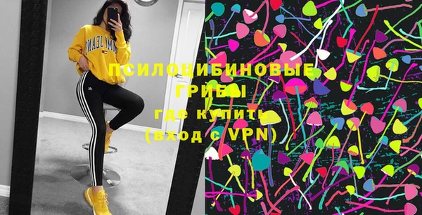 ГАЛЛЮЦИНОГЕННЫЕ ГРИБЫ Беломорск