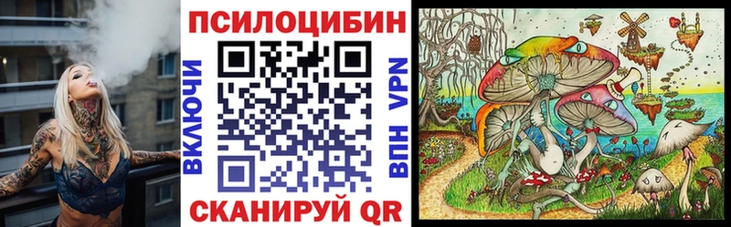 Псилоцибиновые грибы ЛСД Гатчина