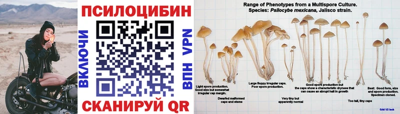 Галлюциногенные грибы MAGIC MUSHROOMS  Гатчина 